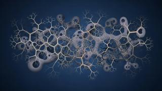 كلود بيرسزتيجن Claude Bursztejn: التفكير التشعبي/ترجمة محمد أسليم